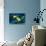 Masked Butterfly Fish-Peter Scoones-Stretched Canvas displayed on a wall