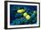 Masked Butterfly Fish-Peter Scoones-Framed Photographic Print