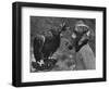 Masked Child Looking at Eagle-null-Framed Photographic Print