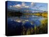 Maskinonge Lake, Wateron Lakes National Park, Alberta, Canada-Chuck Haney-Stretched Canvas