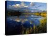 Maskinonge Lake, Wateron Lakes National Park, Alberta, Canada-Chuck Haney-Stretched Canvas