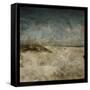 Mason Boro I-John W Golden-Framed Stretched Canvas