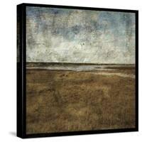 Mason Boro VII-John W Golden-Stretched Canvas