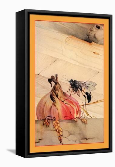 Mason-Wasp-Edward Detmold-Framed Stretched Canvas