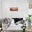Masonboro Inlet Sunrise I-Alan Hausenflock-Framed Stretched Canvas displayed on a wall