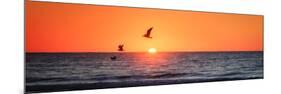 Masonboro Inlet Sunrise I-Alan Hausenflock-Mounted Premium Giclee Print