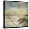 Masonboro Island No. 15-John Golden-Stretched Canvas