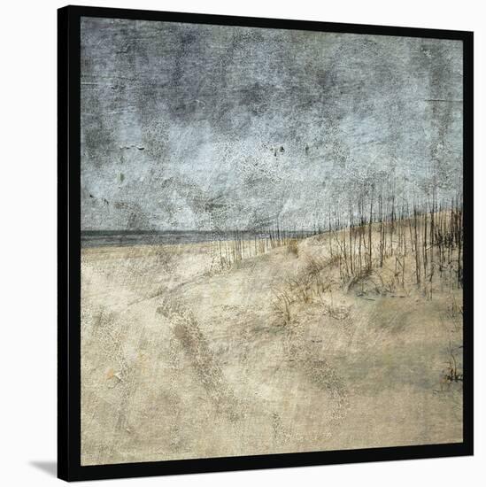 Masonboro Island No. 5-John W Golden-Stretched Canvas