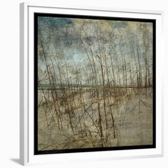 Masonboro Island No. 6-John W^ Golden-Framed Art Print