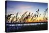 Masonboro Sunset I-Alan Hausenflock-Stretched Canvas