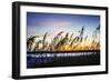 Masonboro Sunset I-Alan Hausenflock-Framed Photographic Print