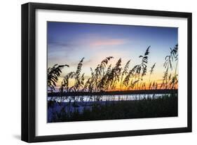 Masonboro Sunset I-Alan Hausenflock-Framed Photographic Print