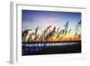 Masonboro Sunset I-Alan Hausenflock-Framed Photographic Print