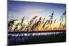 Masonboro Sunset I-Alan Hausenflock-Mounted Photographic Print