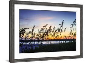 Masonboro Sunset I-Alan Hausenflock-Framed Photographic Print