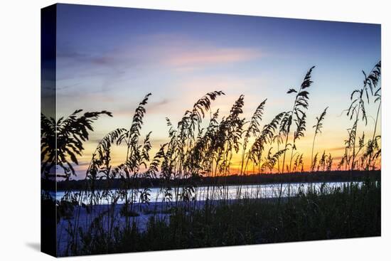 Masonboro Sunset I-Alan Hausenflock-Stretched Canvas