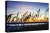 Masonboro Sunset I-Alan Hausenflock-Stretched Canvas