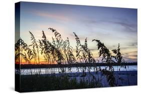 Masonboro Sunset II-Alan Hausenflock-Stretched Canvas