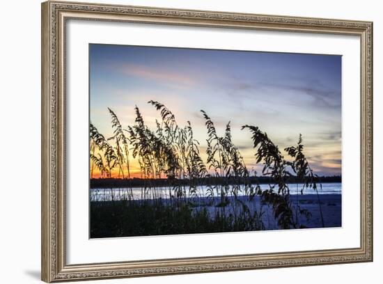 Masonboro Sunset II-Alan Hausenflock-Framed Photographic Print