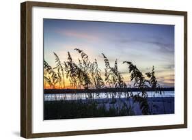 Masonboro Sunset II-Alan Hausenflock-Framed Photographic Print