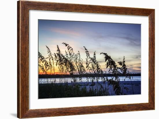 Masonboro Sunset II-Alan Hausenflock-Framed Photographic Print