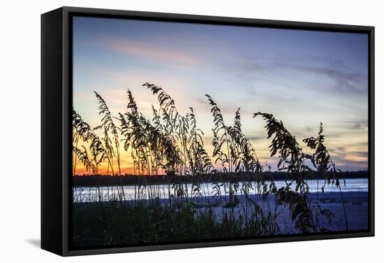 Masonboro Sunset II-Alan Hausenflock-Framed Stretched Canvas