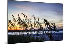 Masonboro Sunset II-Alan Hausenflock-Mounted Photographic Print