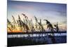 Masonboro Sunset II-Alan Hausenflock-Mounted Photographic Print