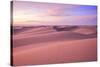 Maspalomas Sand Dunes, Gran Canaria, Canary Islands, Spain, Atlantic Ocean, Europe-Neil Farrin-Stretched Canvas