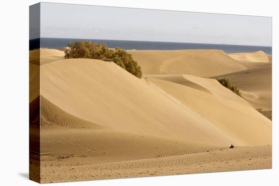 Maspalomas Sand Dunes, Gran Canaria, Canary Islands, Spain-Peter Thompson-Stretched Canvas