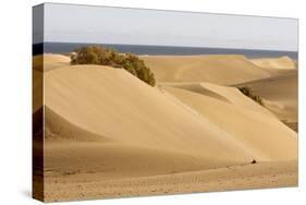 Maspalomas Sand Dunes, Gran Canaria, Canary Islands, Spain-Peter Thompson-Stretched Canvas