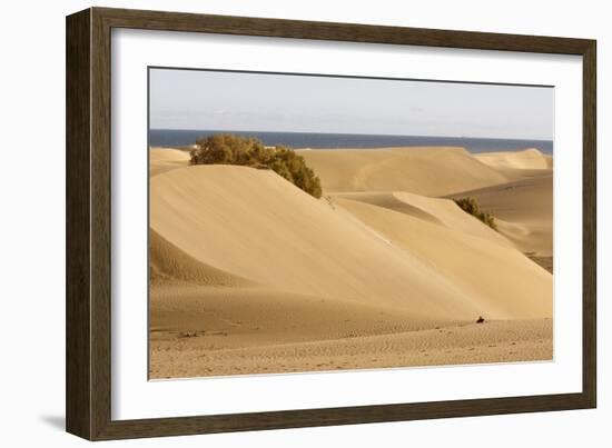 Maspalomas Sand Dunes, Gran Canaria, Canary Islands, Spain-Peter Thompson-Framed Photographic Print