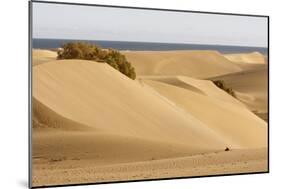 Maspalomas Sand Dunes, Gran Canaria, Canary Islands, Spain-Peter Thompson-Mounted Photographic Print