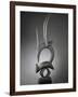 Masque-cimier d'antilope ciwara-null-Framed Giclee Print