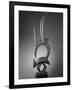 Masque-cimier d'antilope ciwara-null-Framed Giclee Print