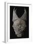 Masque Janus-null-Framed Giclee Print