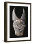 Masque Janus-null-Framed Giclee Print