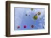 Mass Ascension at the Albuquerque Balloon Fiesta in Albuquerque, New Mexico, Usa-Chuck Haney-Framed Photographic Print