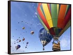 Mass Ascension at the Albuquerque Hot Air Balloon Fiesta, New Mexico, USA-William Sutton-Framed Stretched Canvas