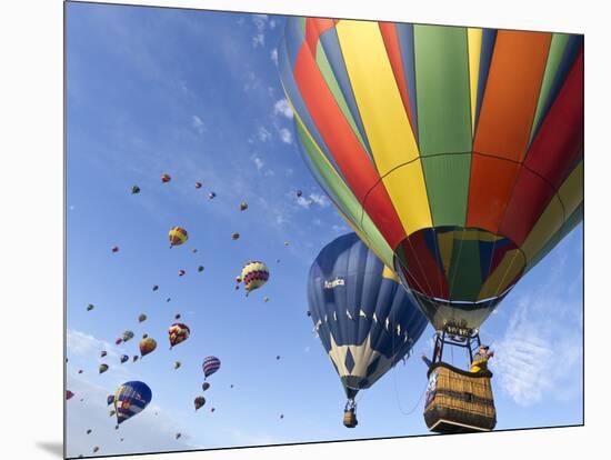 Mass Ascension at the Albuquerque Hot Air Balloon Fiesta, New Mexico, USA-William Sutton-Mounted Photographic Print