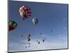 Mass Ascension at the Albuquerque Hot Air Balloon Fiesta, New Mexico, USA-William Sutton-Mounted Photographic Print