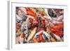 Mass Carp Feeding close Up-MrEco99-Framed Photographic Print