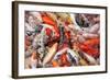 Mass Carp Feeding close Up-MrEco99-Framed Photographic Print