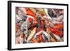 Mass Carp Feeding close Up-MrEco99-Framed Photographic Print