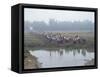 Mass Mobilisation, Irrigation Project, Yunnan, China-Occidor Ltd-Framed Stretched Canvas