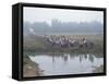 Mass Mobilisation, Irrigation Project, Yunnan, China-Occidor Ltd-Framed Stretched Canvas