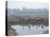 Mass Mobilisation, Irrigation Project, Yunnan, China-Occidor Ltd-Stretched Canvas