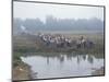 Mass Mobilisation, Irrigation Project, Yunnan, China-Occidor Ltd-Mounted Photographic Print