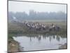 Mass Mobilisation, Irrigation Project, Yunnan, China-Occidor Ltd-Mounted Photographic Print