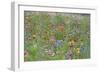 Mass of Flowers in Field-null-Framed Photographic Print